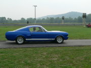 Mustang